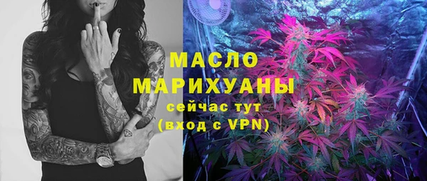прущие грибы Вяземский