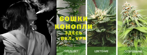 спайс Арсеньев