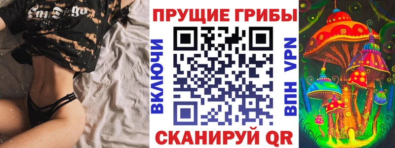 Галлюциногенные грибы Psilocybe  Кондопога 