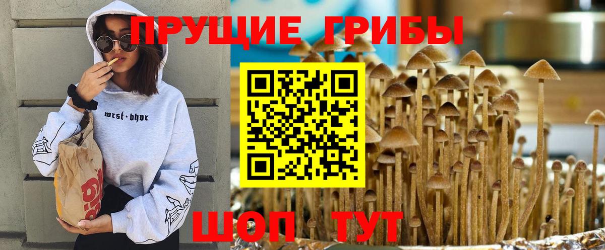 Галлюциногенные грибы Magic Shrooms  Вход с VPN  Кондопога 