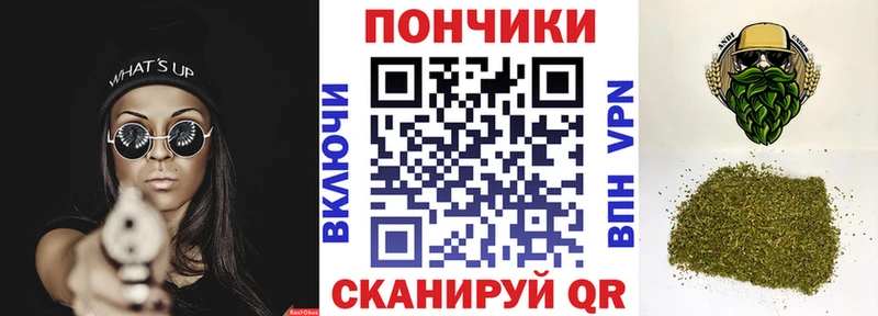 купить наркотик  ссылка на мегу как зайти  Бошки Шишки план  Кондопога 